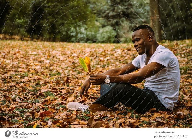 Park III. Zufriedenheit Ferien & Urlaub & Reisen Mensch maskulin Junger Mann Jugendliche Erwachsene Kultur Natur Herbst Blatt Jeanshose liegen träumen sportlich