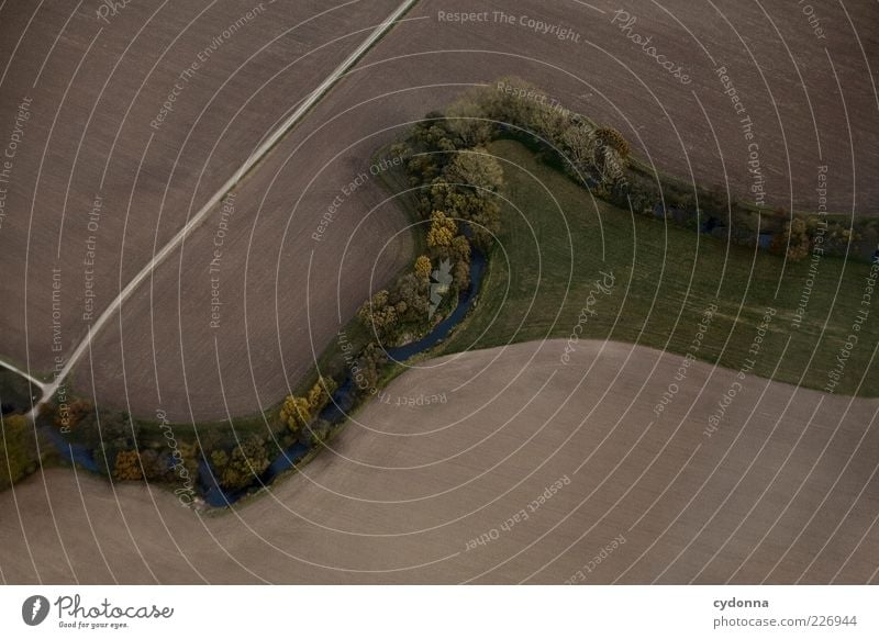 Flusslauf Landwirtschaft Forstwirtschaft Umwelt Natur Landschaft Baum Wiese Feld Bach Wege & Pfade einzigartig schön Fußweg Ackerbau Kulturlandschaft Kurve