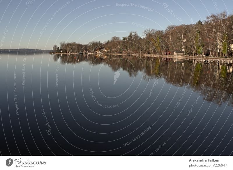 Starnberger See Ferien & Urlaub & Reisen Tourismus Ausflug Umwelt Natur Landschaft Urelemente Wasser Himmel Wolkenloser Himmel Sonnenlicht Herbst Wetter