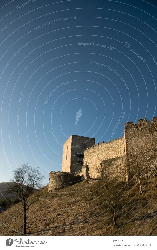 kastl Tourismus Ausflug Traumhaus Baum Gras Hügel Ruine Bauwerk Gebäude Architektur Mauer Wand Wahrzeichen Denkmal Stein alt ästhetisch Vergangenheit