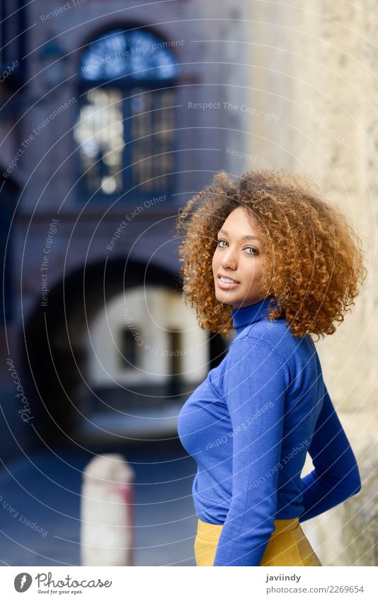 Schöne junge afroamerikanische Frau mit Afro-Frisur. Lifestyle elegant Stil schön Haare & Frisuren Gesicht Mensch feminin Junge Frau Jugendliche Erwachsene 1