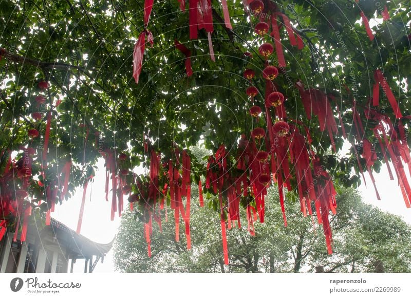 Rote Glücksbringer hängen von einem Baum in einem Tempel in China Farbfoto Asien Buddhismus Religion & Glaube Außenaufnahme Kultur Tourismus rot Bänder