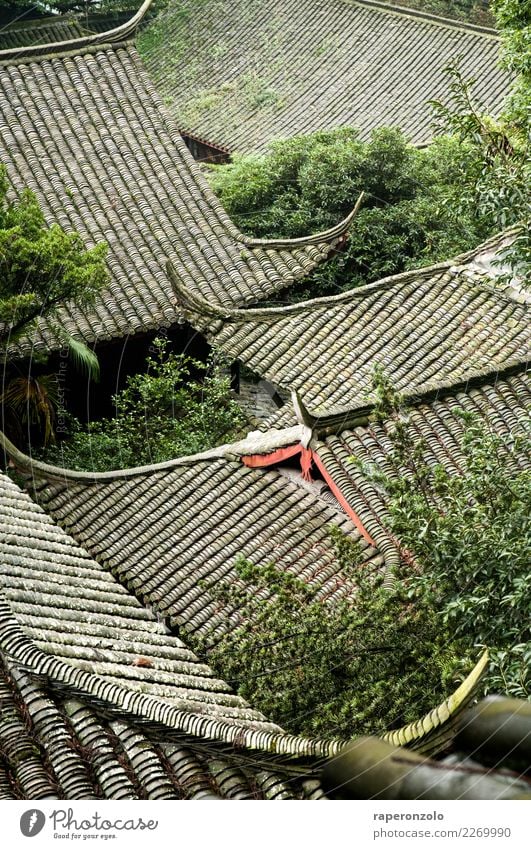 dach, dächer, am dachsten harmonisch Erholung ruhig Meditation Ferien & Urlaub & Reisen Tourismus wandern Bauwerk Architektur Dach einfach grau grün Sicherheit