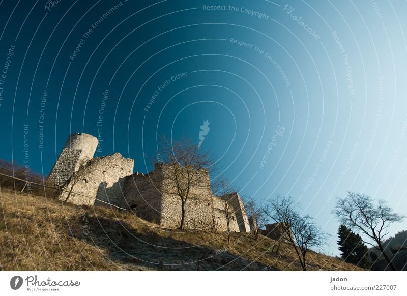 kuschelburg Himmel Baum Hügel Ruine Turm Bauwerk Gebäude Mauer Wand Fassade Sehenswürdigkeit Stein alt historisch Sicherheit Schutz Wachsamkeit Stolz Verfall