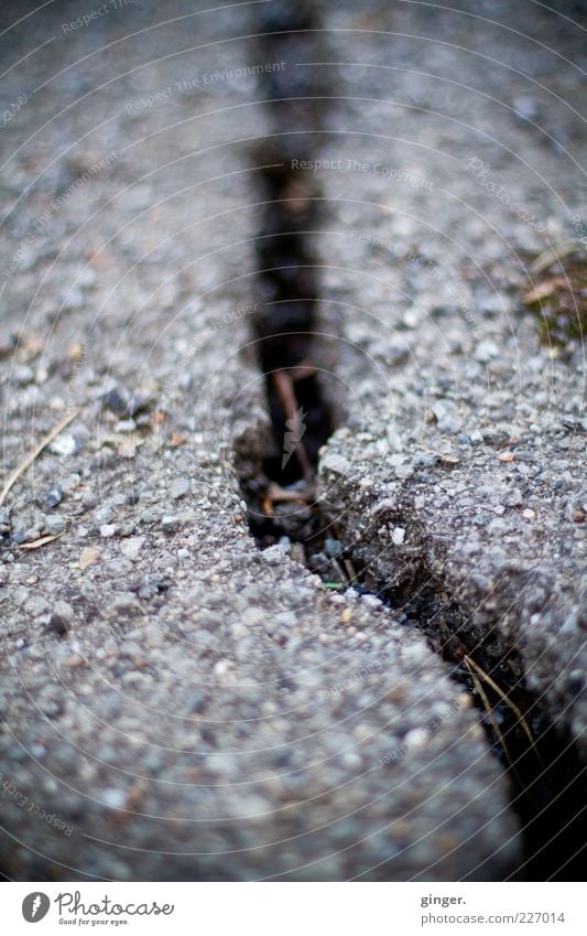 Frostschaden Umwelt dreckig dunkel kaputt Asphalt gerissen Straßenbelag Wetter grau Furche Froschperspektive Riss Teer Spalte Menschenleer Schaden Farbfoto