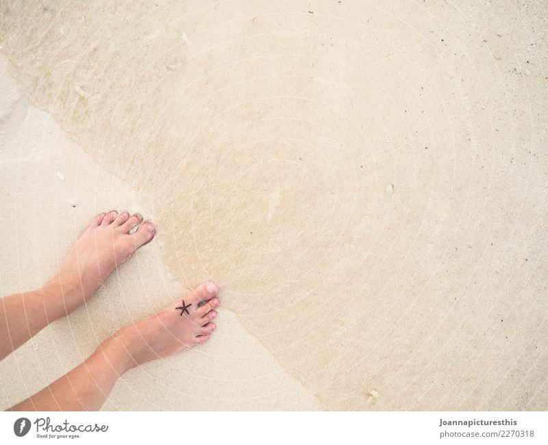 Starfish exotisch schön Körperpflege Pediküre Wellness Leben Wohlgefühl Sinnesorgane Erholung ruhig Schwimmen & Baden Ferien & Urlaub & Reisen Strand Meer