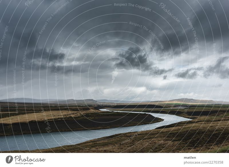 Corioliskraft Natur Landschaft Luft Wasser Himmel Wolken Horizont Frühling schlechtes Wetter Wind Gras Berge u. Gebirge Küste Flussufer dunkel braun grau Island