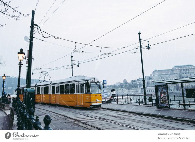 Tram in Budapest Stadt Hauptstadt Güterverkehr & Logistik Öffentlicher Personennahverkehr Straßenbahn Laterne Oberleitung Haltestelle Station Donau gelb Ungarn