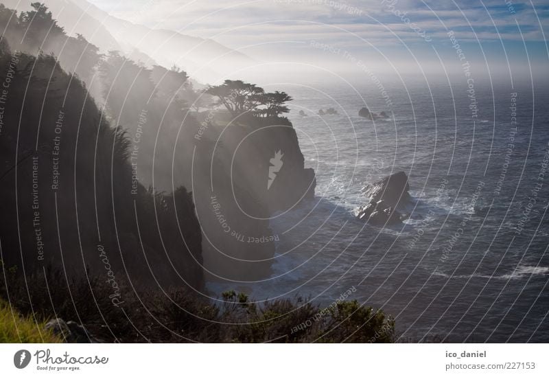 Big Sur - California Ferne Freiheit Wellen Natur Landschaft Wasser Himmel Sonnenaufgang Sonnenuntergang Sonnenlicht Schönes Wetter Nebel Baum Meer Pazifik schön