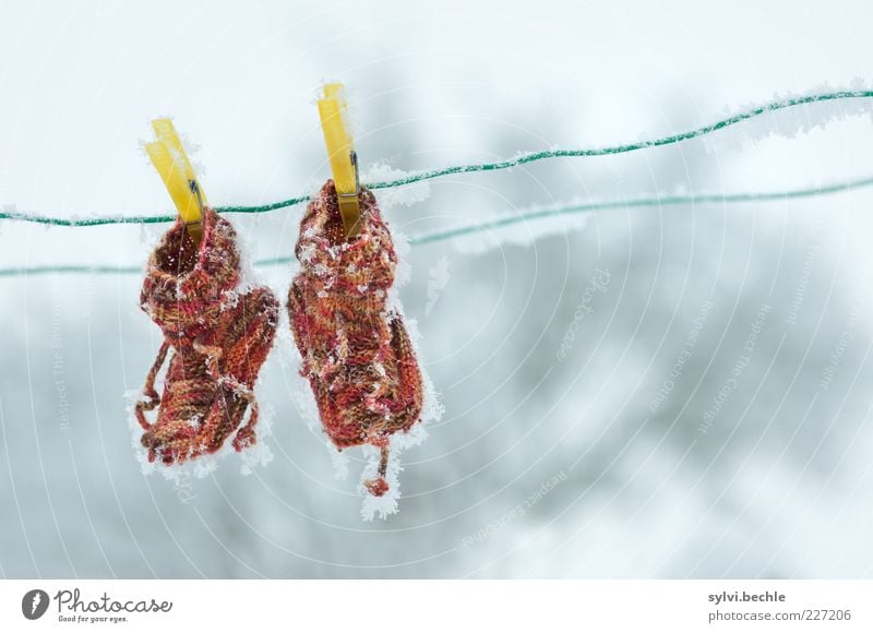 Bis die trocken sind ... Winter Klima Wetter Eis Frost Garten Mode Bekleidung Schuhe frieren hängen kalt braun gelb stagnierend gefroren Eiskristall Wäscheleine