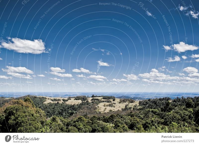 blue horizon Umwelt Natur Landschaft Pflanze Urelemente Luft Himmel Wolken Sonnenlicht Sommer Klima Wetter Schönes Wetter Baum Wald Hügel Berge u. Gebirge