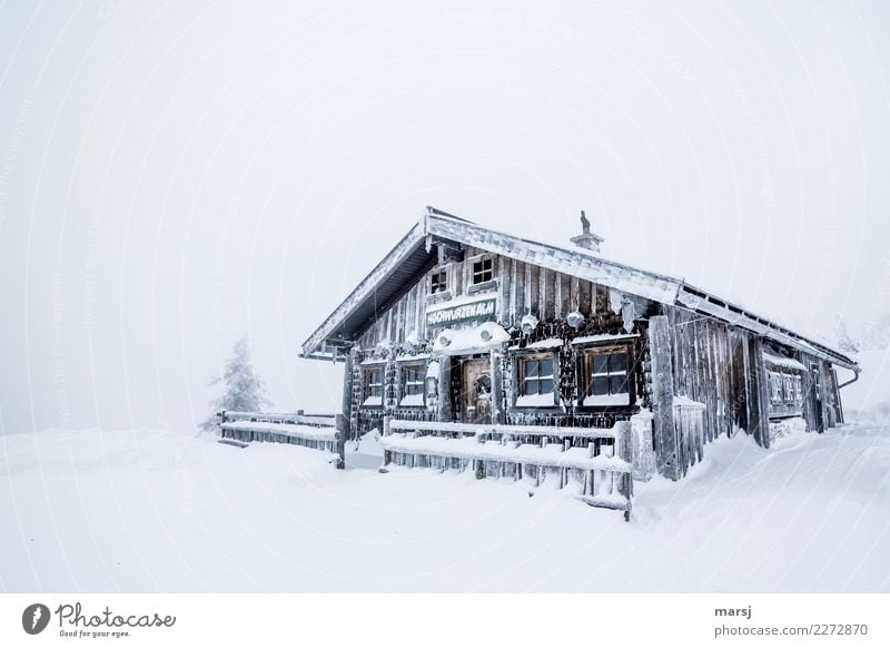 Ripperl Winter Wetter Sturm Eis Frost Schnee Schneefall Holz kalt Hüttenferien Berghütte heimelig Vorfreude Schutz Winterurlaub Farbfoto Gedeckte Farben