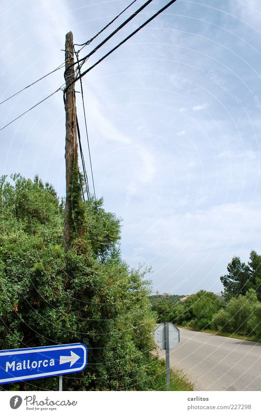 da geht's lang Landschaft Himmel Sommer Schönes Wetter Sträucher Straße Straßenkreuzung blau grün Fernweh Strommast Kabel Verkehrsschild Hinweisschild Tourismus