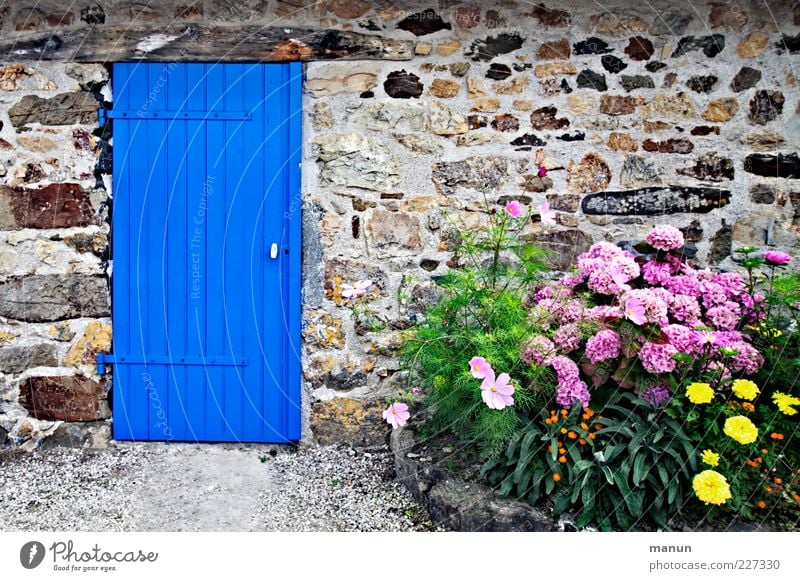 Frisch gestrichen Ferien & Urlaub & Reisen Blume Bretagne Haus Architektur Fischerhütte Bauernhaus Natursteinhaus Mauer Wand Fassade Garten Tür Holztür Stein