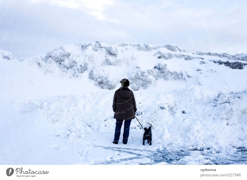 Eiszeit Ausflug Ferne Freiheit Winterurlaub Umwelt Natur Landschaft Himmel Klima Frost Schnee Berge u. Gebirge Einsamkeit einzigartig Ende geheimnisvoll Idee