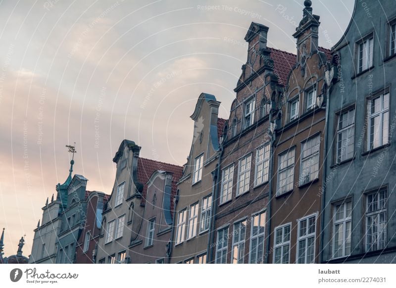 Nette holländische Arthäuser Gdánsk Polen Dorf Kleinstadt Stadt Hauptstadt Stadtzentrum Altstadt Skyline Menschenleer Haus Gebäude Architektur Fassade Fenster