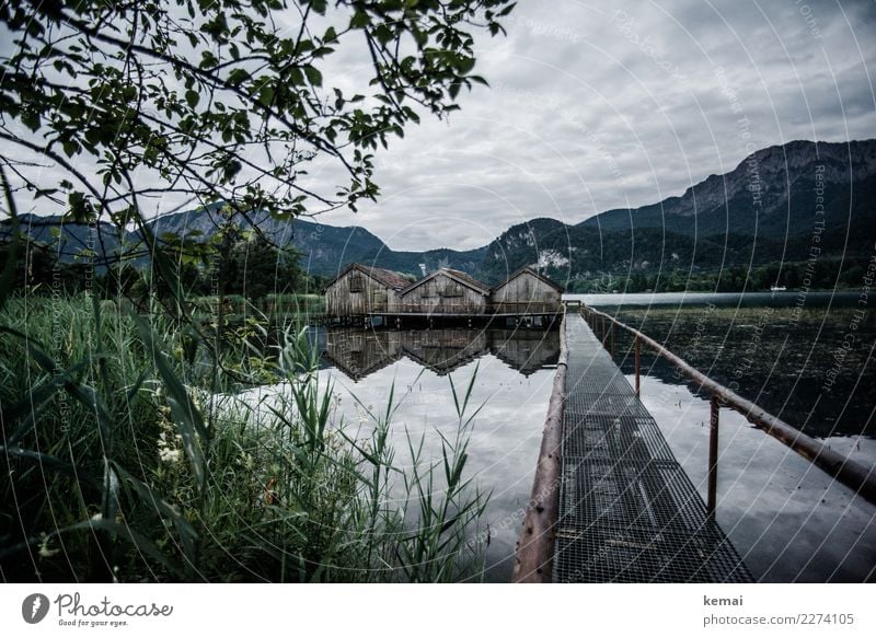 Morgen am Kochelsee Sinnesorgane Erholung ruhig Ferien & Urlaub & Reisen Abenteuer Freiheit Landschaft Wasser Himmel Wolken Wetter Baum Gras Sträucher Alpen