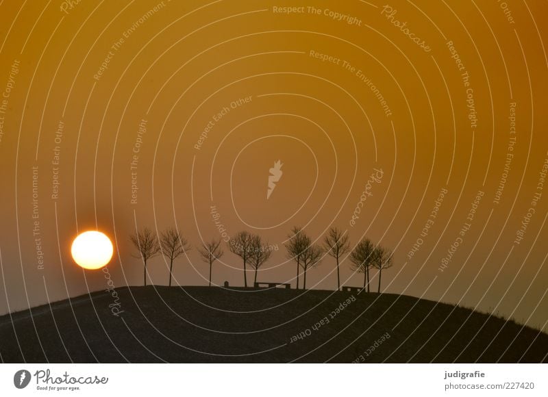 Hannover, sonntags Umwelt Natur Landschaft Sonne Sonnenaufgang Sonnenuntergang Winter Baum Park Hügel dunkel natürlich Wärme Stimmung Farbfoto Außenaufnahme