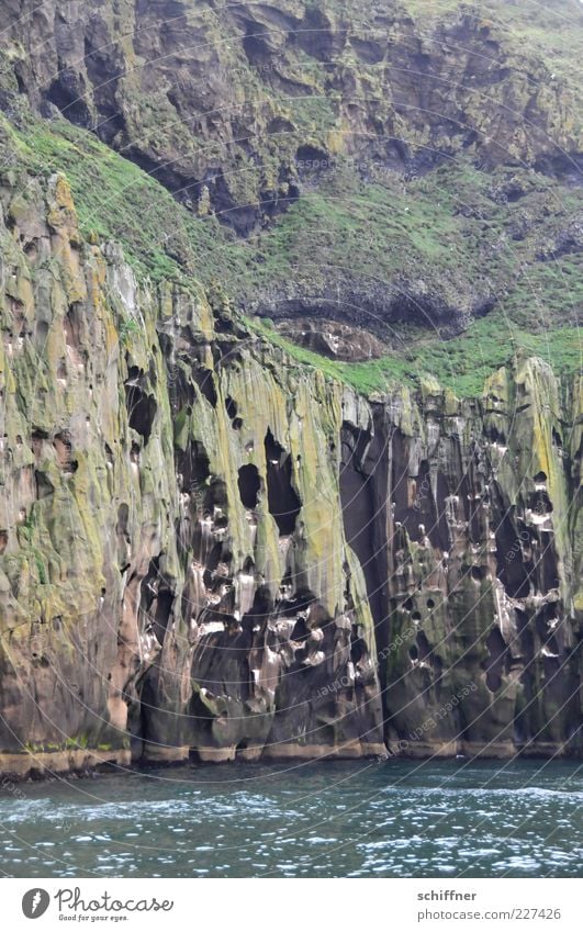 Schweizer Käse Landschaft Vulkan Küste Fjord Meer steil Steilwand Loch Höhle abstrakt wild Naturphänomene Felsen Felswand Felsküste vertikal Wasser vulkanisch