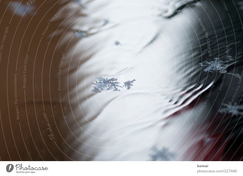 Wasserformen Umwelt Winter Eis Frost Schnee Eiskristall Im Wasser treiben Wellen fließen Eiswasser Farbfoto Gedeckte Farben Außenaufnahme Nahaufnahme Tag Licht