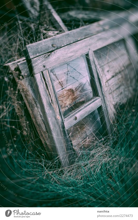 Altes und gebrochenes hölzernes Fenster Umwelt Natur Pflanze Gras Holz Glas Kristalle alt dreckig dunkel authentisch einfach Billig kaputt retro grau grün Armut