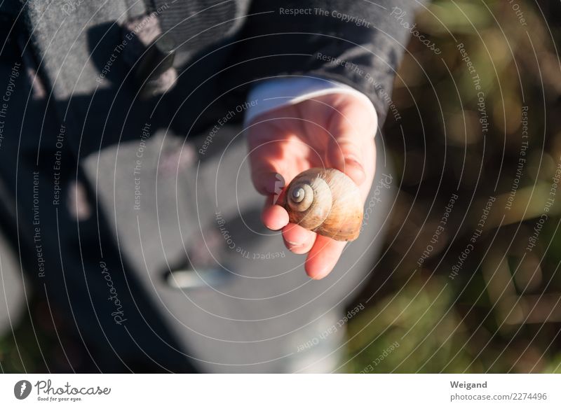 Ringelreihe harmonisch Wohlgefühl Zufriedenheit Sinnesorgane ruhig Ausflug Mensch Kind Mädchen Junge Kindheit Hand Denken ästhetisch einfach Akzeptanz Vertrauen