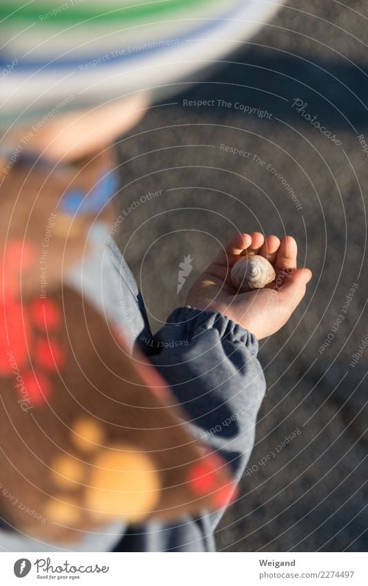 Handlich harmonisch Zufriedenheit Sinnesorgane Erholung ruhig Meditation Kindererziehung Kindergarten Schulkind Mensch Mädchen Junge Kindheit Blick einfach