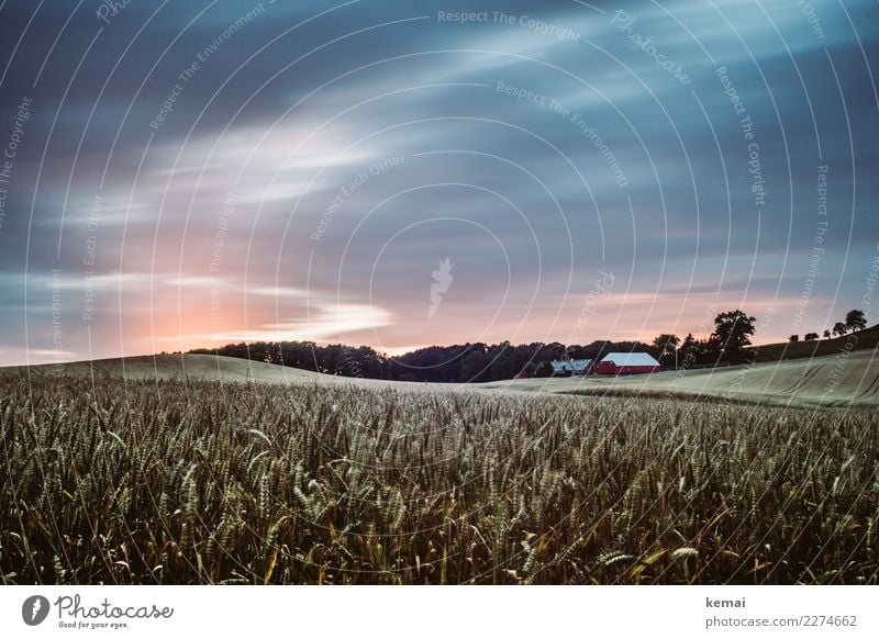 Abends in Dänemark Leben harmonisch Wohlgefühl Zufriedenheit Sinnesorgane Erholung ruhig Ausflug Abenteuer Ferne Freiheit Sommer Landschaft Himmel Wolken