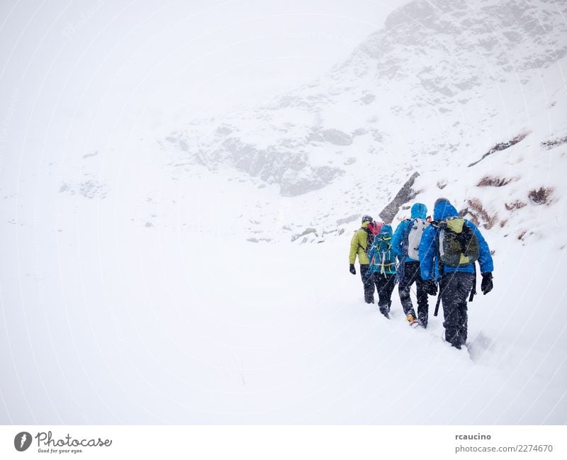 Bergsteiger-Team während einer Winterexpedition. Ferien & Urlaub & Reisen Tourismus Abenteuer Expedition Schnee Berge u. Gebirge wandern Sport Erfolg Mensch