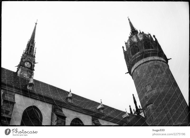 Martin Luther Lutherstadt Wittenberg Sachsen-Anhalt Europa Stadt Altstadt Kirche Dom Bauwerk Gebäude Fassade Sehenswürdigkeit Wahrzeichen Kirchturm Kraft