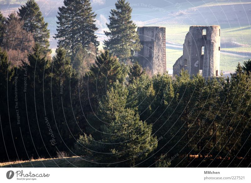 Bella Costa Natur Landschaft Sonne Baum Wald Ruine Bauwerk Architektur Fassade Wahrzeichen entdecken alt kaputt Tapferkeit historisch Schönecken Nimstal