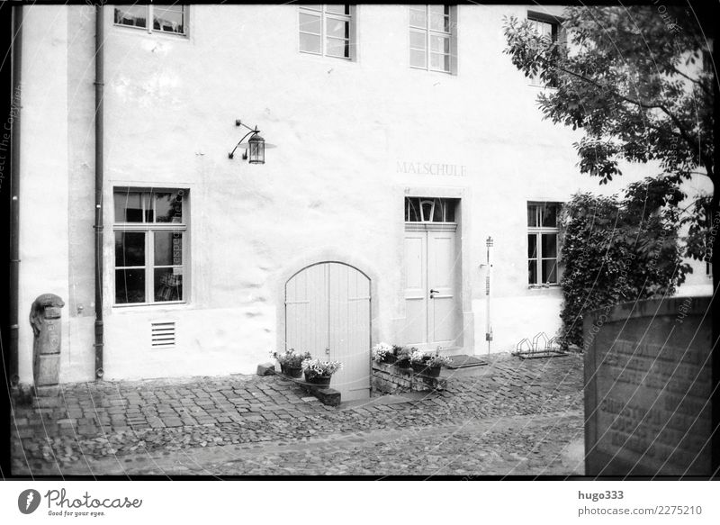 Old Wittenberg Häusliches Leben Haus Lutherstadt Wittenberg Sachsen-Anhalt Dorf Stadt Stadtzentrum Altstadt Sehenswürdigkeit schwarz weiß souterrain