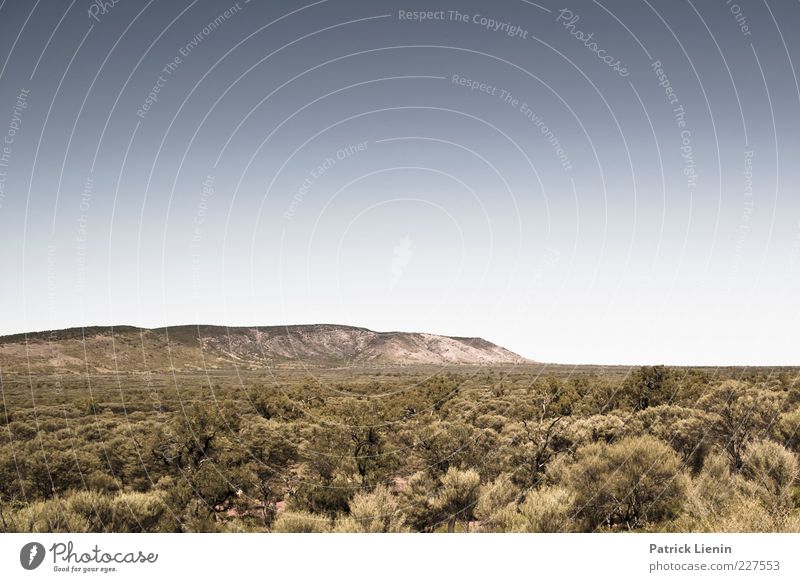 how near, how far Kultur Umwelt Natur Landschaft Pflanze Urelemente Luft Himmel Wolkenloser Himmel Klima Wetter Schönes Wetter Sträucher Hügel Felsen schön