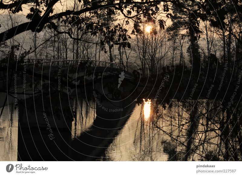 der frühling zeigt sich Natur Winter Park Fluss Brücke rot schwarz Warmherzigkeit Erholung Umwelt Nebel Farbfoto Außenaufnahme Dämmerung Sonnenaufgang