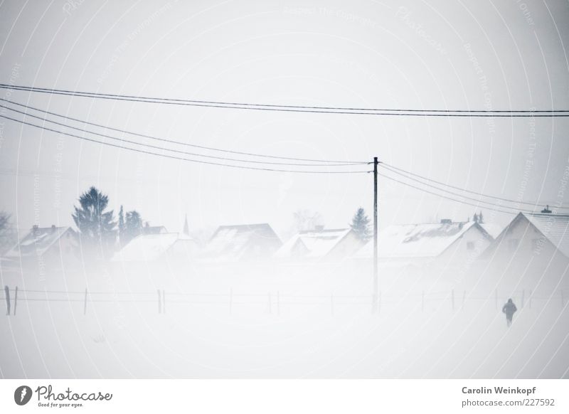 Schneegestöber. Ferne Freiheit Winter Mensch androgyn 1 Landschaft Himmel Wetter schlechtes Wetter Nebel Eis Frost Feld Dorf Haus Einfamilienhaus Gebäude gehen