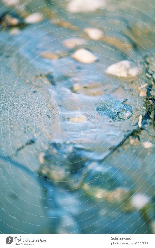 Kindheitserinnerung Umwelt Natur Urelemente Sand Wasser Seeufer Flussufer Meer Bach Stein fließen Rinnsal Naturgewalt klein nass Farbfoto Außenaufnahme