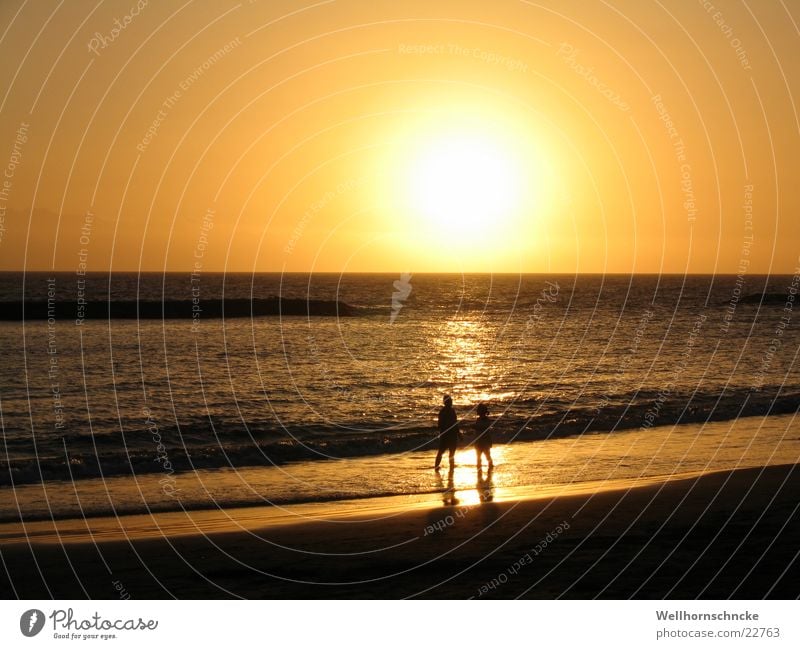 Sonnenuntergang Strand Ferien & Urlaub & Reisen Romantik Meer Dämmerung Teneriffa Liebe orange Abend Paar Natur paarweise Liebespaar Zusammensein Partnerschaft