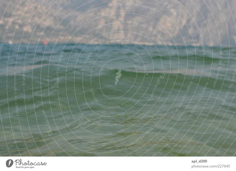 Im See Ferien & Urlaub & Reisen Ausflug Sommer Wellen Berge u. Gebirge Umwelt Natur Schönes Wetter blau grün Wellengang Gardasee Farbfoto Gedeckte Farben