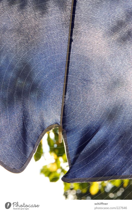 nur was für Ommas... blau Sonnenschirm Wetterschutz Stoff Stofffalten Sommer Schatten Halbschatten Außenaufnahme Tag Sonnenlicht durchscheinend Blatt