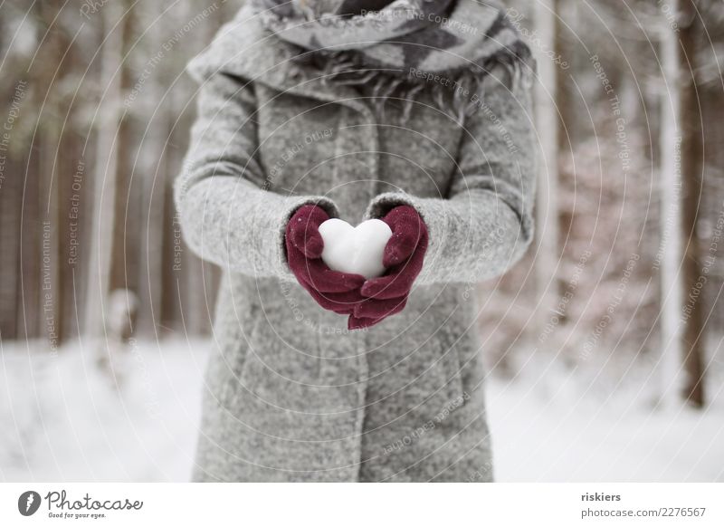 Schneeherz ii feminin Frau Erwachsene 1 Mensch Umwelt Natur Winter Schneefall Wald festhalten grau rot weiß Zufriedenheit Lebensfreude Herz Farbfoto