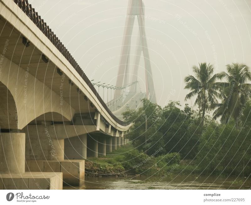 Can-Tho Bridge Natur Himmel Klima Wald Urwald Fluss Brücke Sehenswürdigkeit Verkehr Verkehrswege Personenverkehr Straße Hochstraße Vietnam Mekong Palme Beton