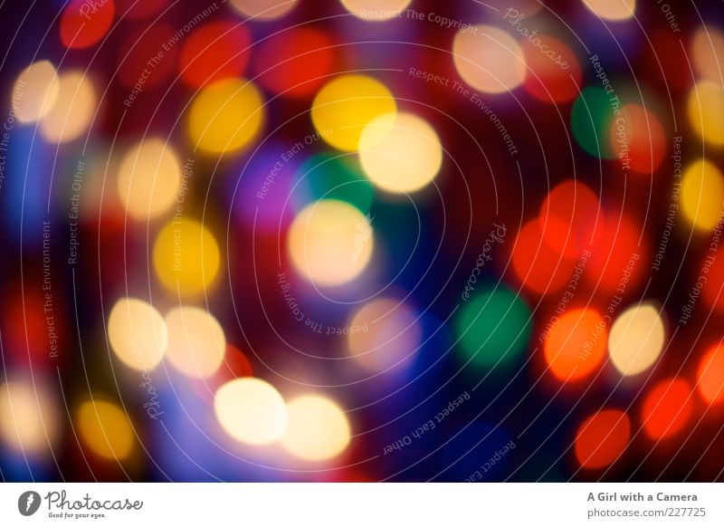 viele bunte Lichter Design Nachtleben Kerzenstimmung Kerzenglas leuchten Fröhlichkeit blau mehrfarbig gelb grün rot Farbfoto Innenaufnahme Kunstlicht