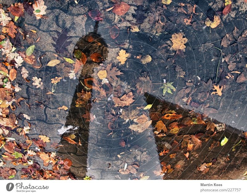 b. im herbst Wetter Regen Hauptstadt Wahrzeichen Berliner Fernsehturm dreckig nass mehrfarbig Pfütze Farbfoto Außenaufnahme Schatten Kontrast