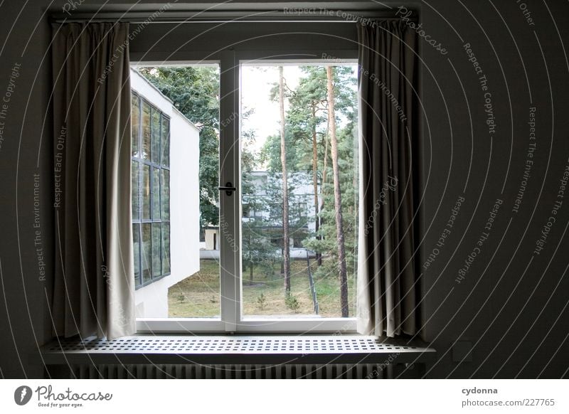 Meisterlicher Ausblick Lifestyle Stil Design Wohlgefühl Zufriedenheit Erholung ruhig Häusliches Leben Raum Umwelt Natur Haus Architektur Mauer Wand Fenster