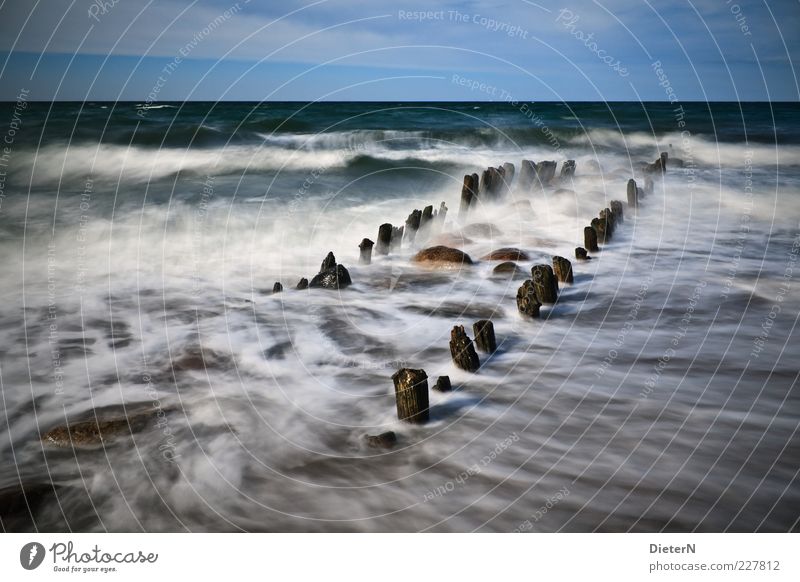 Rauschen Sommer Strand Umwelt Natur Landschaft Wasser Himmel Wolken Klima schlechtes Wetter Unwetter Wind Sturm Küste Ostsee Menschenleer Kraft