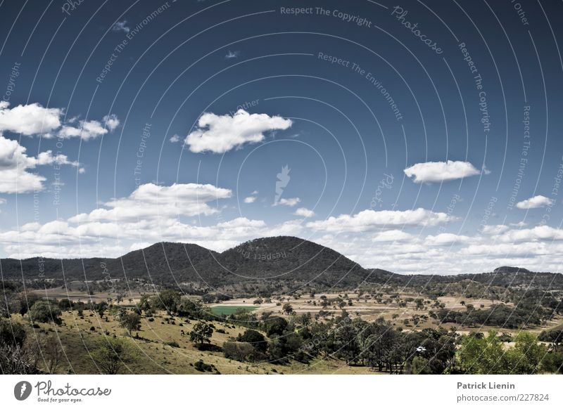 other side of the world Umwelt Natur Landschaft Urelemente Luft Himmel Wolken Sommer Klima Wetter Schönes Wetter Pflanze Baum Sträucher Wald Hügel Felsen