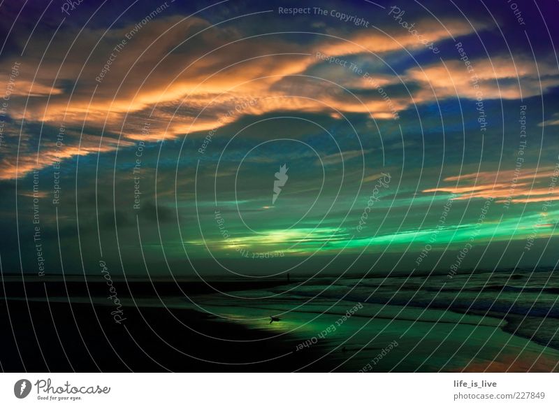 Freiheit Strand Meer Natur Landschaft Himmel Horizont Sonnenaufgang Sonnenuntergang Pazifikstrand Romantik Wolkenhimmel Neuseeland Menschenleer Abend