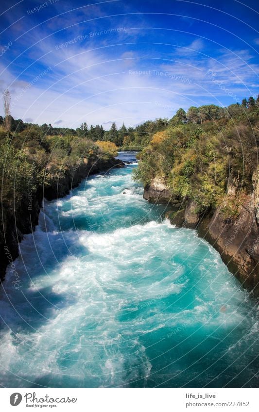 wild, kristall-klar und brausend Umwelt Natur Wasser Himmel Sommer Fluss Blue River nass blau Leben sprudelnd türkis Außenaufnahme Menschenleer Farbfoto