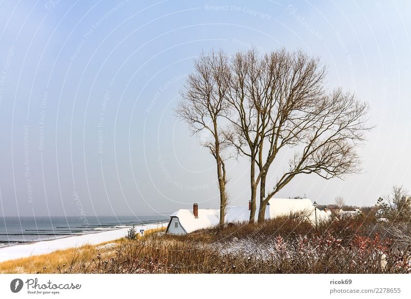 Ostseeküste in Ahrenshoop im Winter Erholung Ferien & Urlaub & Reisen Tourismus Meer Haus Natur Landschaft Wasser Wolken Klima Wetter Baum Küste Gebäude