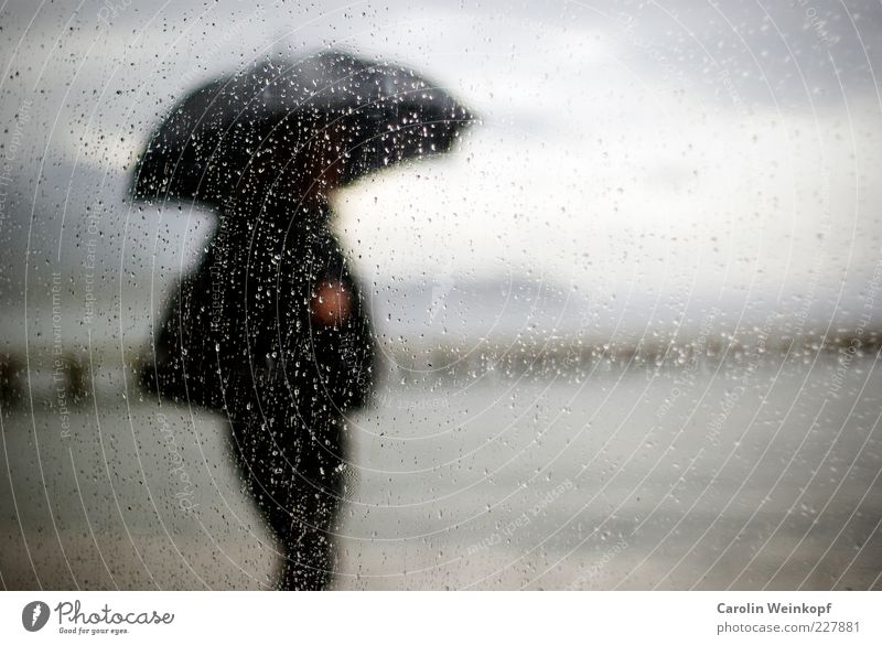 Umbrella. Luft Wasser schlechtes Wetter Nebel Regen Küste Seeufer Flussufer Gelassenheit Regenschirm Spaziergang Steg Fensterscheibe Farbfoto Gedeckte Farben